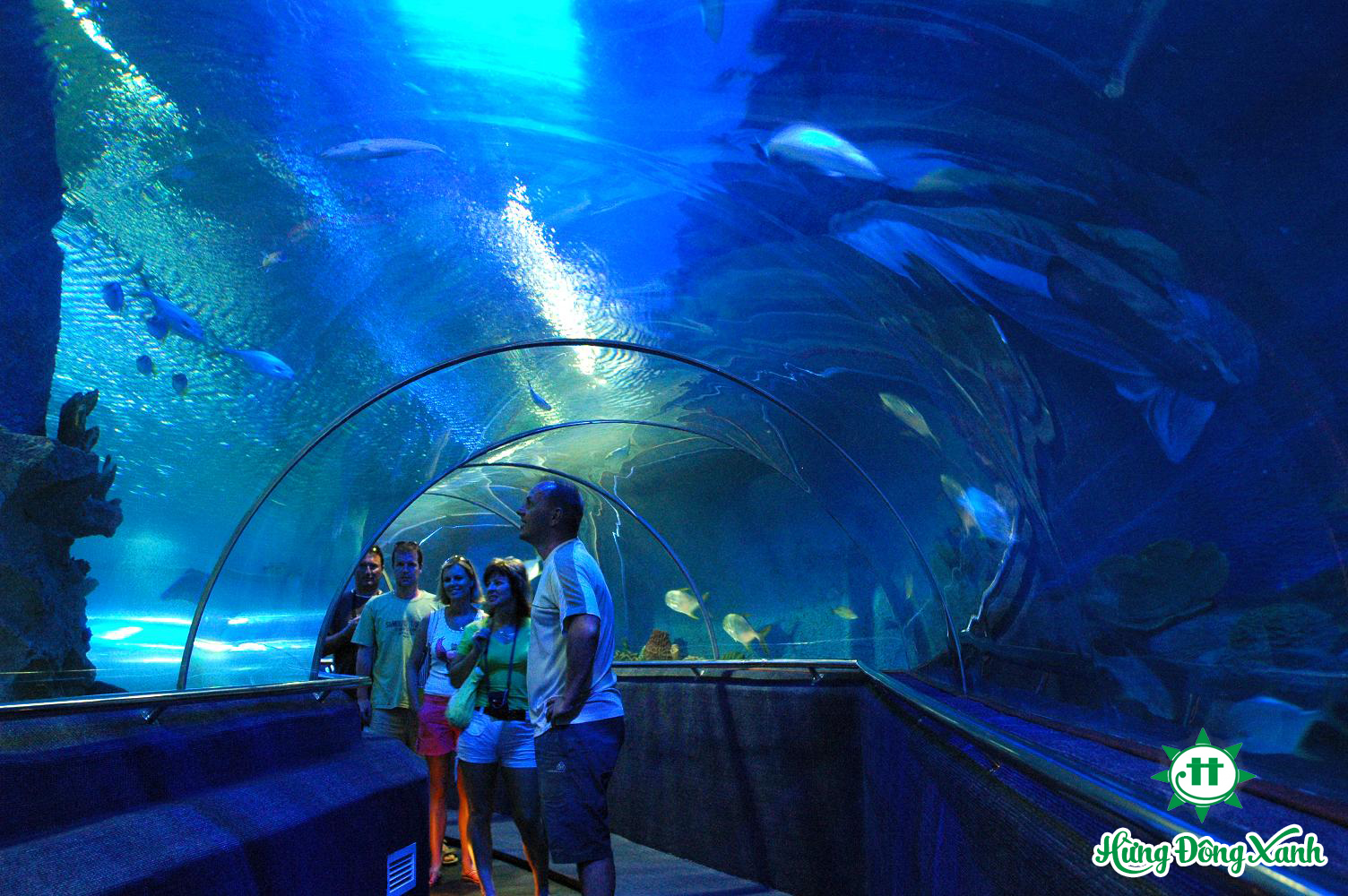 vietnam beach tour vinpearlland vietnam beach tour vinpearlland
